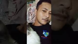 Download lagu Kucing Manja Banget mp3