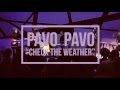 Pavo Pavo Check The Weather Live At National Sawdust