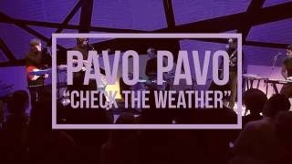 Pavo Pavo - Check the Weather (Live at National Sawdust)