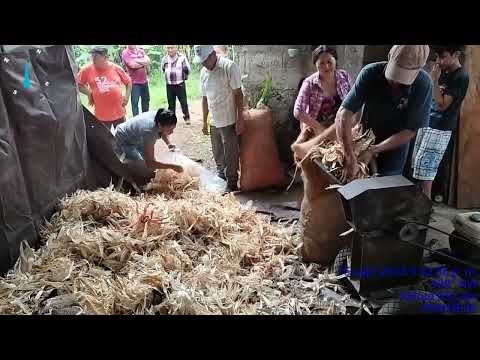 Preparación de sustrato para hongo seta