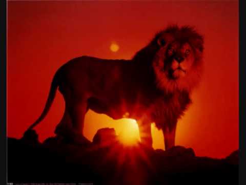 Ikahba - Love is jah jah.