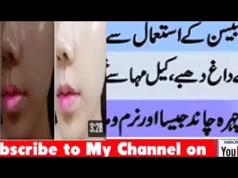 Best Funny Animal Videos Of The 2023 🤣 - Funniest Cats And Dogs Videos 😺😍😂🐶 Funny cat & dog videos 😍