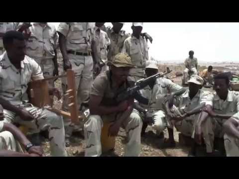 Sandman Negus - Sawa