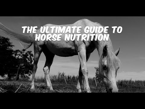 The Ultimate Guide to Horse Nutrition