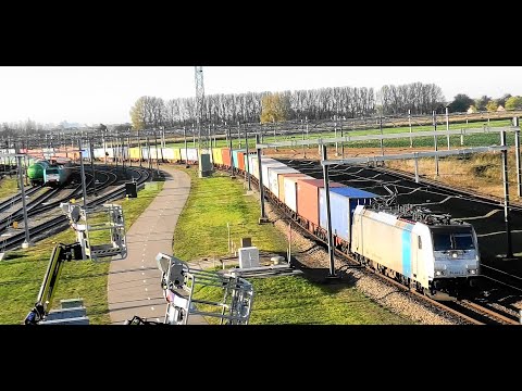 186 422, w/ containertrain to Betuwe route pass railyard Kijfhoek, NL, 28 OKT 2021,