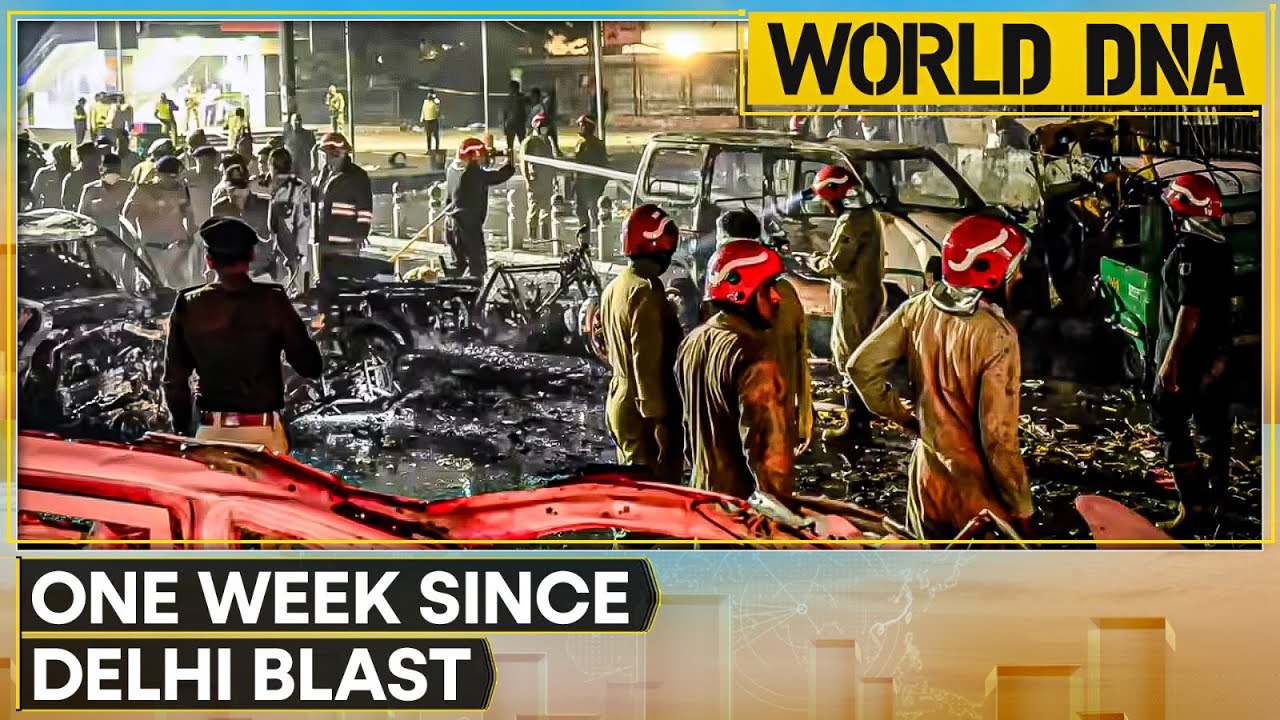 World DNA LIVE: One Week Since Delhi Blast | Bangladesh Tense Ahead of Verdict on Hasina | WION