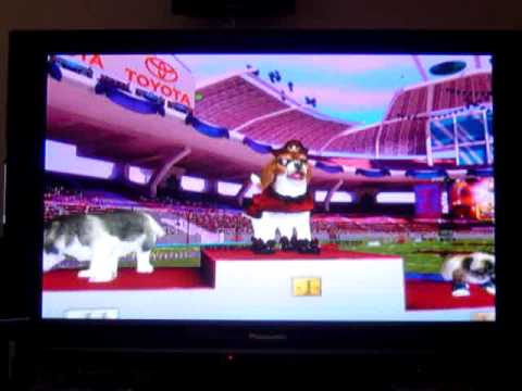 Petz Sports : Chiots & Compagnie Wii