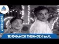 Maalaiyitta Mangai Tamil Movie Songs Sendhamizh Thenmozhiyaal Video Song TR Mahalingam MSV TKR