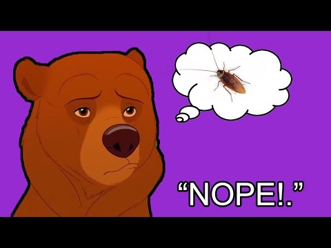 Kenai Despises Roaches!