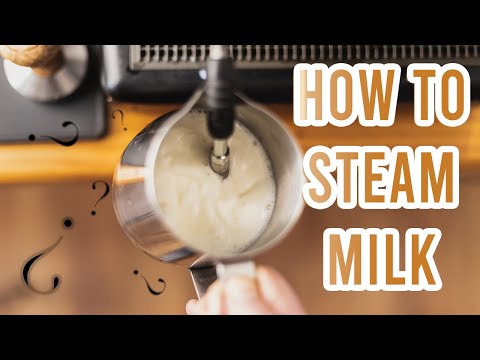 How to steam milk for The Perfect Latte Art | 2 MINUTES VIDEO TUTORIAL
