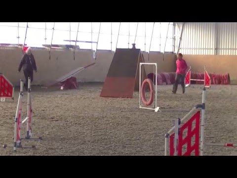 Sedliště trojzkoušky agility 5.12.2015 Zkouška 2 - Bára a Ara