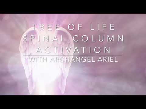 Tree of Life Spinal Column Activation with Archangel Ariel