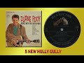 5 NEW HULLY GULLY