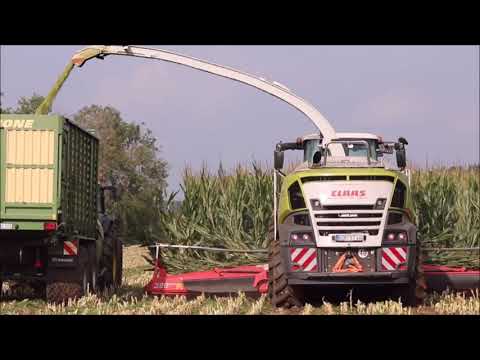 Claas Jaguar 970 im Mais!