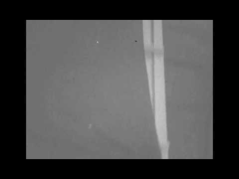 HIP HOP PAPUA STAR B PRODUCTION ( JANJI SETIA )