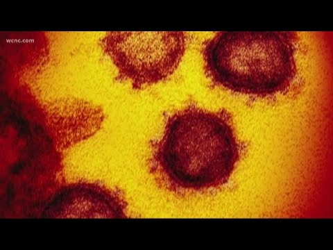 North Carolina identifies first presumptive case of coronavirus