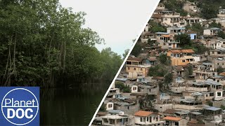 Thumbnail del capítulo