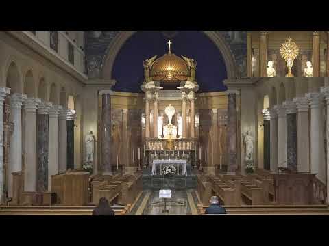 National Shrine of St. Maximilian Kolbe - Livestream