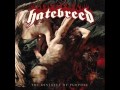 Hatebreed - Dead Man Breathing 2013 