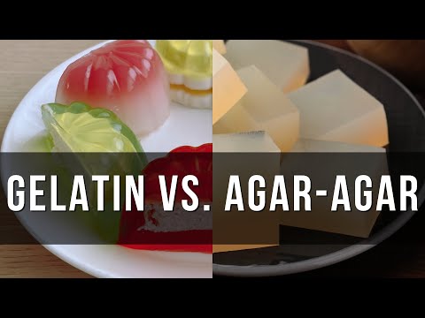 How Gelatin Differs From Agar-Agar