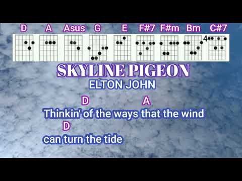 Skyline Pigeon - Pierre Simões