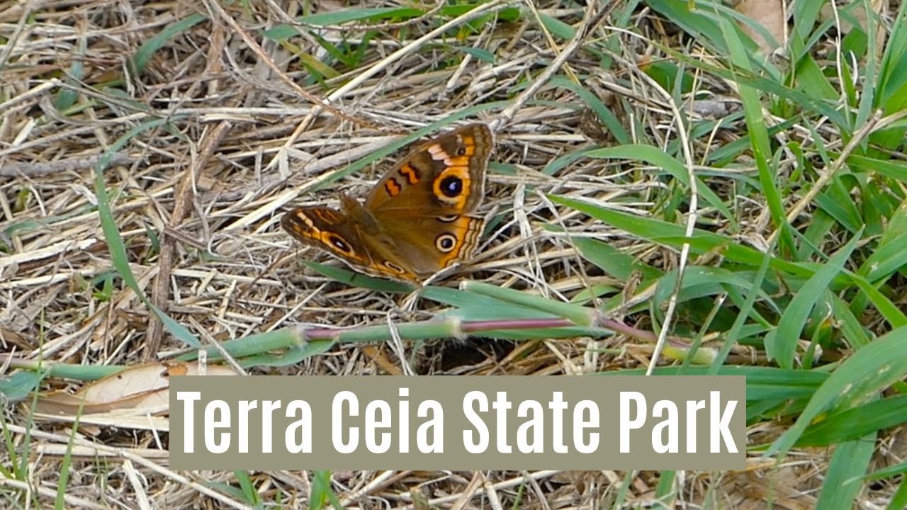 Close Look at Terra Ceia State Park