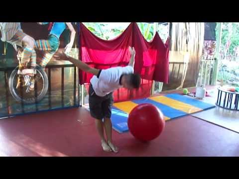 Horrible Talent Show!  (dung beetle)