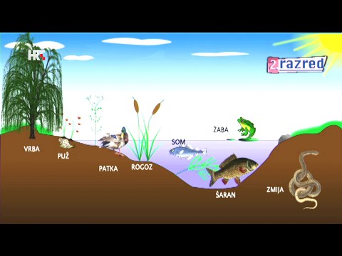 2. razred - Imenovanje zavičajnih voda - Priroda i društvo