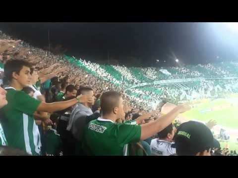 "Atlético Nacional vs Sporting Cristal 01-03-2016" Barra: Los del Sur • Club: Atlético Nacional