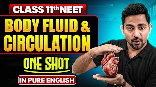 BODY FLUIDS & CIRCULATION | Class 11th ONE SHOT