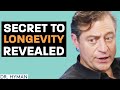 The SECRET To Longevity Never Getting Old IS COMING Peter Diamandis Mark Hyman