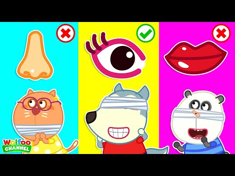 Auch! Where is My Eyes, Ears, Mouth and Nose! | Eductional Video for Kids