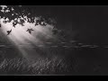 Ludovico Einaudi - Experience (slowed + reverb)