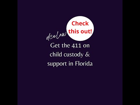 Florida Divorce Court 411 (Child Custody and Support)