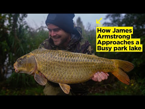 TIPS AND TRICKS! How James Armstrong Approaches A Busy Park Lake | Carp Fishing 2020