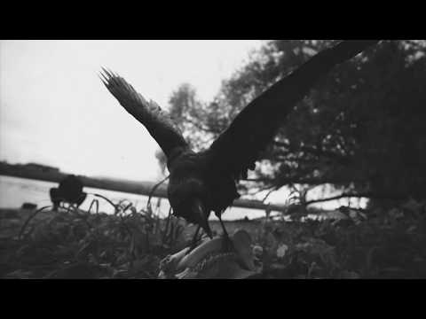 The Devil's Trade   Your Own Hell [Original Video]