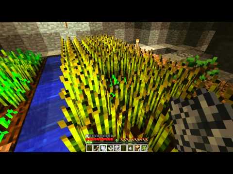 Minecraft Floating Island Survival Episode 15-I'm Dying!!!