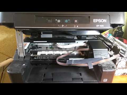 Ошибка замятие бумаги Epson XP 100