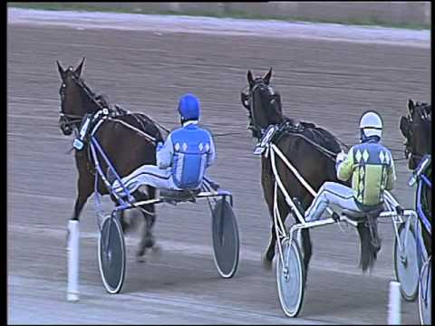 Trotto 21/02/2016 - 4° corsa