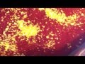 Kirby Sentria 2 Aggitation Test