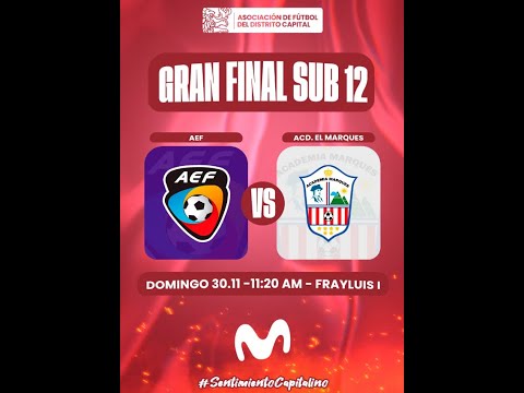 LIGA PLATINO DIABLITOS UNDERWOOD | ¡EN VIVO! GRAN JORNADA DE FINALES | Categoría Sub-12