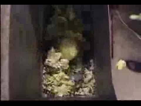 Seepex Progressive Cavity Pumps - Cabbage