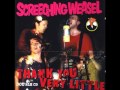 Screeching Weasel Anchor