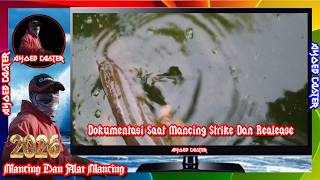 Download lagu {AC-116} Catch and Release Fishing Footage @ayoebcasterr mp3