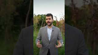 Nicola Jossa, il vero volto del tre di bastoni nelle carte napoletane