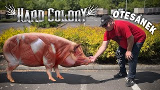Video Hard Colony - Otesánek