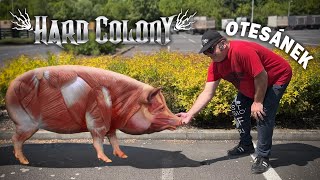 Hard Colony - Otesánek