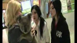 The Veronicas (wanna change the world)