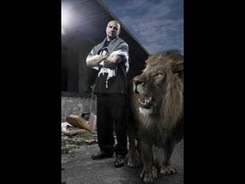 Massiv - Best of Punchlines