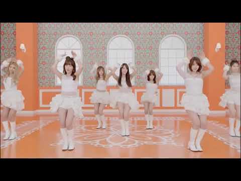 Bunny Style T-ara Dance mirrored